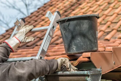 Roschumzug.ch, hassan, Hauswartung