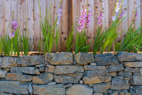 Brani Gartenbau & Hauswartung GmbH, Stützmauer