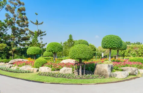 Moser Service rund um Haus & Garten Gmbh, Gartenbau, Gartenpflege
