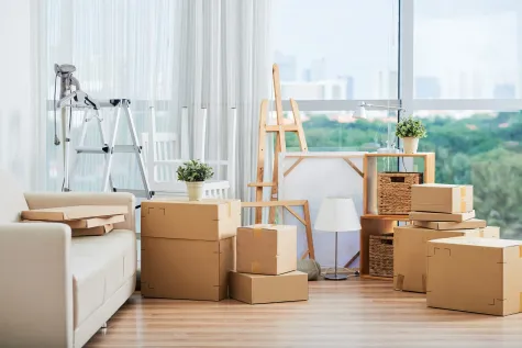 BS Dienstleistungen GmbH, Umzugsfirma, Zügelunternehmen